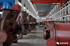 哈尔滨书豪互联网医疗服务有限公司被评为2019年度三水区骨干企业